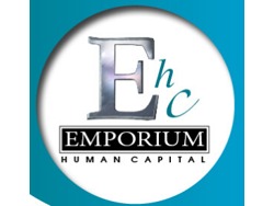 Marketing Officer Technical Company (POS24056)