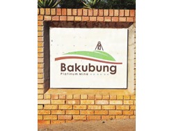 Bakubung Platinum Mine Urgently hiring people call Mr Nhlapo on 0687639846