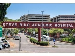 Steve biko academic hospital jobs available