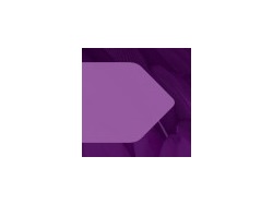 Senior Global Conflicts Lawyer