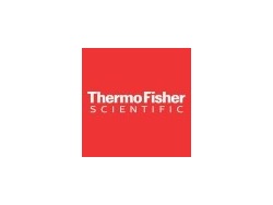 Executive Assistant (E)