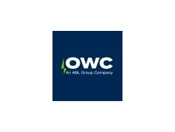 Senior Consultant - Renewables