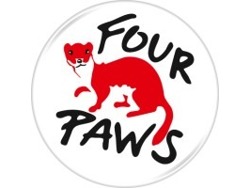 Construction Foreman (m/f/d)