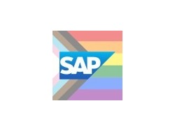 SAP Data Migration Consultant