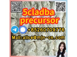 CAS 111982-50-4 2F-DCK telegram Signal 85260709776