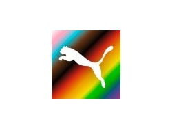 People &amp; Organisation Partner