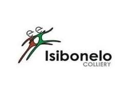 Isibonelo Coal Mine Now Opening New Shaft Inquiry Mr Mabuza (0720957137)