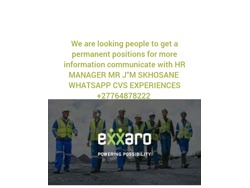 Skhosaneskhosane gmail. com