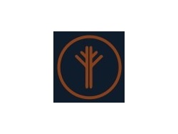 CAX VDI Engineer (Advanced)