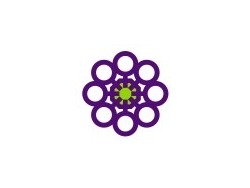 Aboriginal Family Violence Case Manager