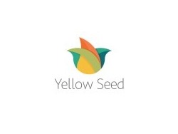 Yellow Seed - Graphic Designer