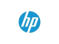 Customer Support Business Analyst Graduate