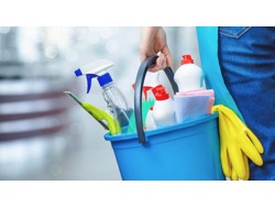 Cleaners Needed Urgently 0. 8. 2. 6. 2. 0. 9. 5. 5. 5