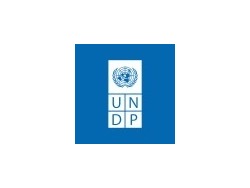 Communications and Programme Support Interns