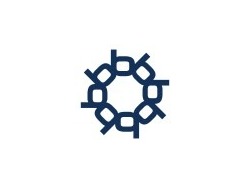 Senior Project Manager