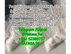 Protonitazene CAS 119276-01-6