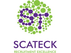 Internal Technical Salesperson