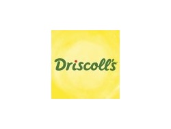 South Africa Finance Controller / Manager