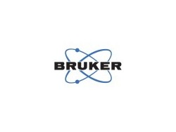 Sales Representative (m/f/d)