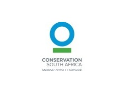 Director, Carbon Finance Origination &amp; Deal Lead (Africa)