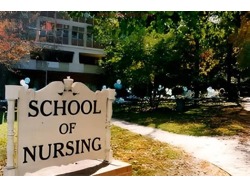 School of Nursing, St. Borromeo(09037603426), Applications are invited