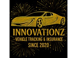 Sales and Marketing Consultant