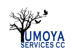 Administrative Assistant