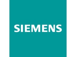 Assistant Professional/Personal Assistant