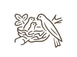 Packaging Graduate Trainee