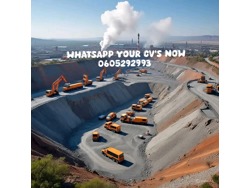 IMPALA PLATINUM MINE IS REQUIREMENTS IS FOR SUPERIOR 0605292993