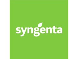 Campaign Management Intern