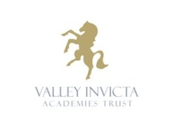 Teacher of Social Sciences