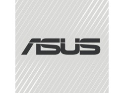 Junior Channel Marketing Specialist