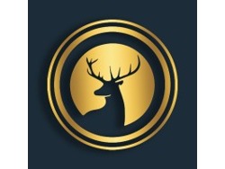 IT Business Developer