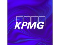 Business Architect Consultant