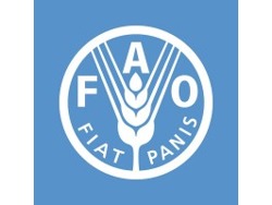 National Project Support Specialist