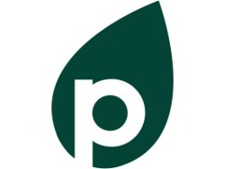 Creative Strategist / Copywriter (E-Commerce)