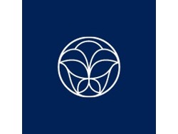 Junior Brand Manager