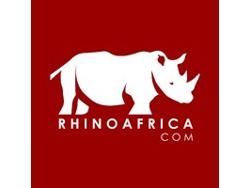 Intermediate Content Writer