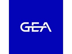 Service Projects Engineer