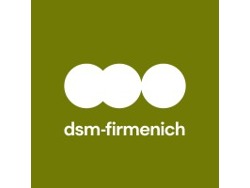 Site Director, Midrand Plant