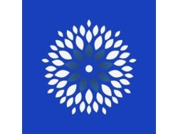 Chief operating office