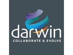 Junior Project Manager