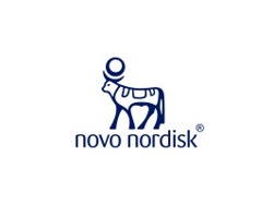 People &amp; Organisation Assistant / HR Administrator