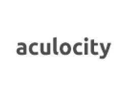 Business Intelligence Analyst